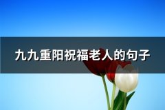 九九重阳祝福老人的句子(汇总105句)