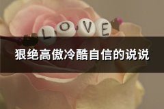 狠绝高傲冷酷自信的说说(实用138句)