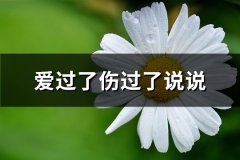 爱过了伤过了说说(共63句)