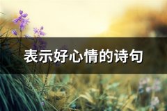 表示好心情的诗句(必备96句)