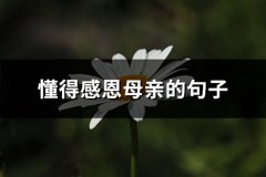懂得感恩母亲的句子(优选90句)