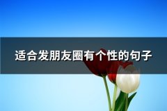 适合发朋友圈有个性的句子(热门86句)