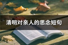 清明对亲人的思念短句(41句)