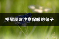 提醒朋友注意保暖的句子(35句)