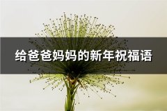 给爸爸妈妈的新年祝福语(实用53句)