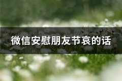 微信安慰朋友节哀的话(实用68句)