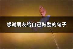感谢朋友给自己鼓励的句子(汇总75句)