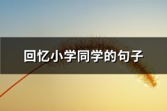 回忆小学同学的句子(必备59句)