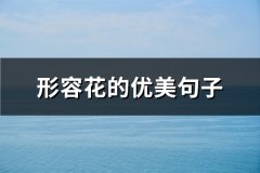 形容花的优美句子(优选64句)