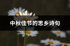 中秋佳节的思乡诗句(优选139句)