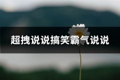 超拽说说搞笑霸气说说(精选155句)