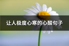 让人极度心寒的心酸句子(63句)