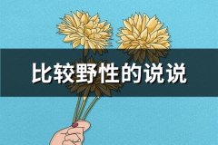 比较野性的说说(实用93句)