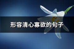 形容清心寡欲的句子(精选56句)