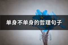 单身不单身的哲理句子(优选73句)