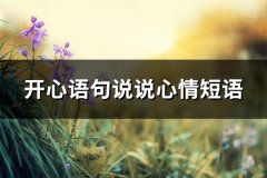 开心语句说说心情短语(热门73句)