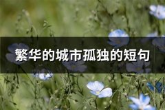 繁华的城市孤独的短句(热门60句)