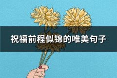 祝福前程似锦的唯美句子(必备72句)