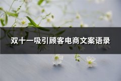 双十一吸引顾客电商文案语录(精选46句)