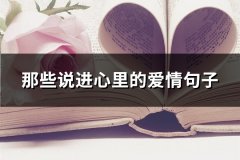 那些说进心里的爱情句子(共28句)