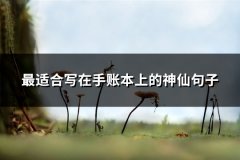 最适合写在手账本上的神仙句子(共125句)