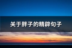 关于胖子的精辟句子(72句)