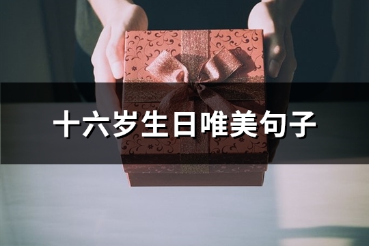 十六岁生日唯美句子(实用60句)
