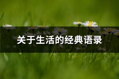 关于生活的经典语录(精选64句)