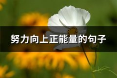 努力向上正能量的句子(通用63句)