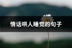情话哄人睡觉的句子(热门78句)