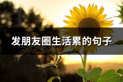 发朋友圈生活累的句子(必备62句)