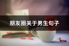 朋友圈关于男生句子(85句)