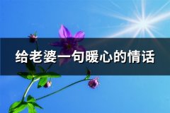 给老婆一句暖心的情话(实用84句)