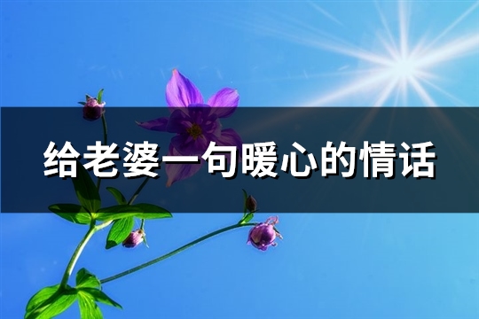 给老婆一句暖心的情话(实用84句)