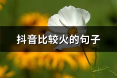 抖音比较火的句子(汇总129句)