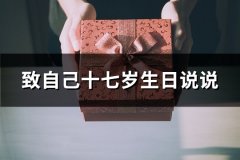 致自己十七岁生日说说(优选74句)
