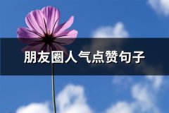 朋友圈人气点赞句子(实用65句)