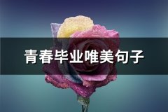 青春毕业唯美句子(必备81句)