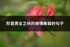 形容男女之间的感情脆弱的句子(共72句)