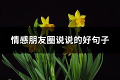 情感朋友圈说说的好句子(必备63句)