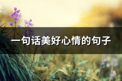 一句话美好心情的句子(实用70句)