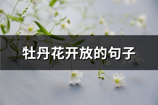 牡丹花开放的句子(汇总68句)