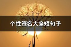 个性签名大全短句子(优选200句)