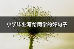 小学毕业写给同学的好句子(实用71句)