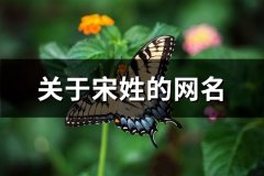 关于宋姓的网名(优选79个)