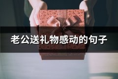 老公送礼物感动的句子(64句)