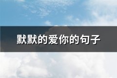 默默的爱你的句子(62句)