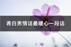 表白男情话最暖心一段话(精选74句)