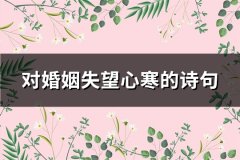 对婚姻失望心寒的诗句(推荐164句)