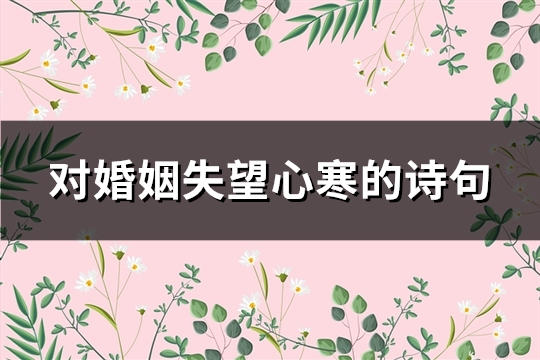 对婚姻失望心寒的诗句(推荐164句)